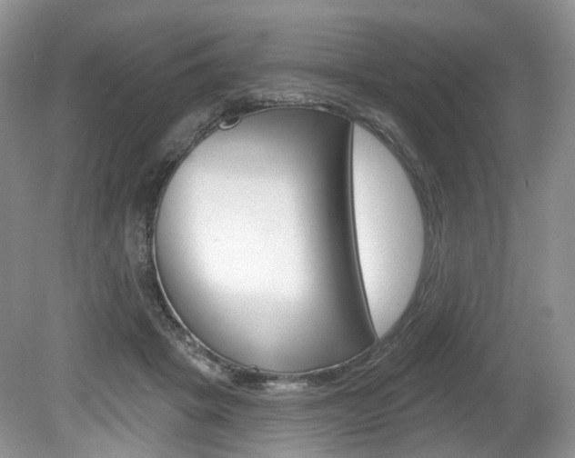 X0000080180457200612081138