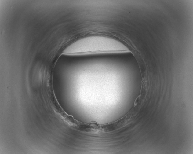 X0000080180458200612081138