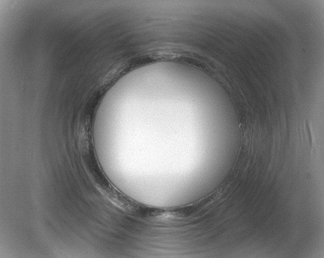 X0000080180460200612081138