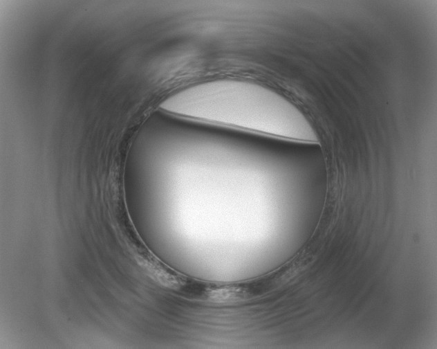 X0000080180461200612081138