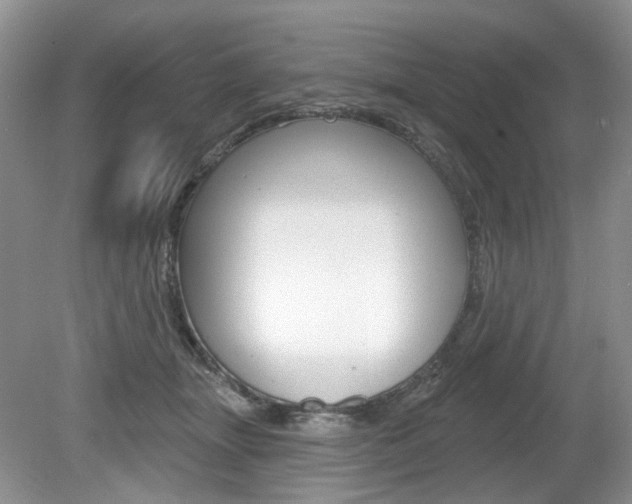 X0000080180463200612081138