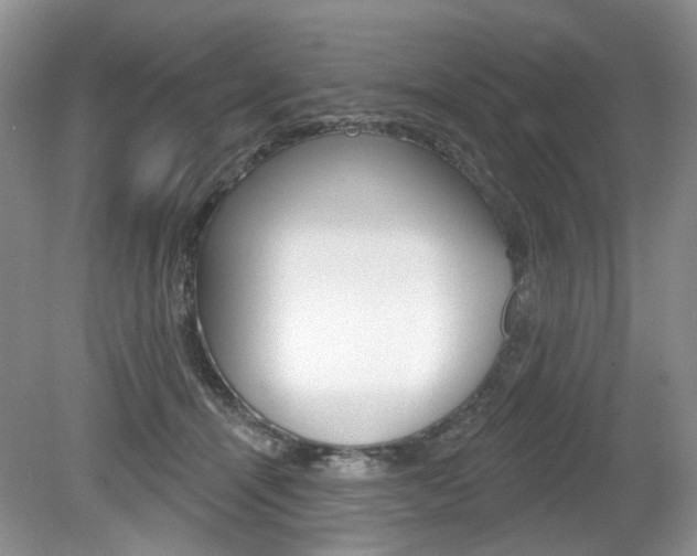 X0000080180464200612081138