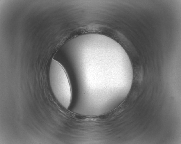 X0000080180465200612081138