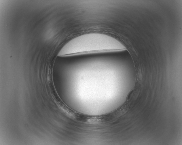 X0000080180470200612081138