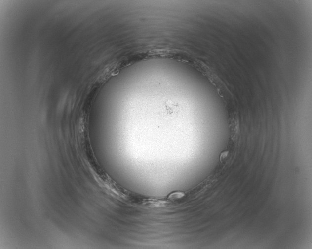 X0000080180472200612081138