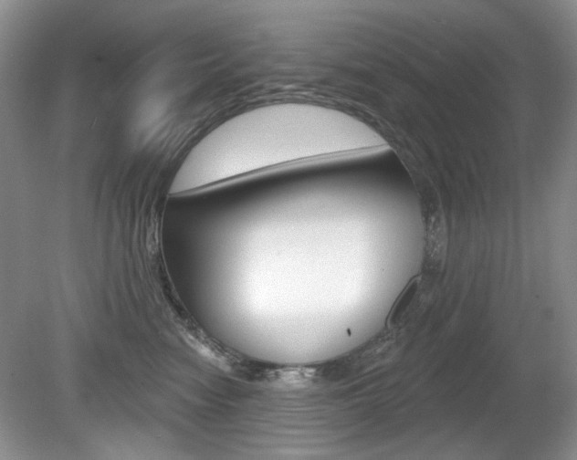 X0000080180474200612081138