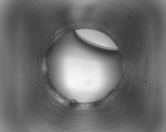 X0000080180479200612081139