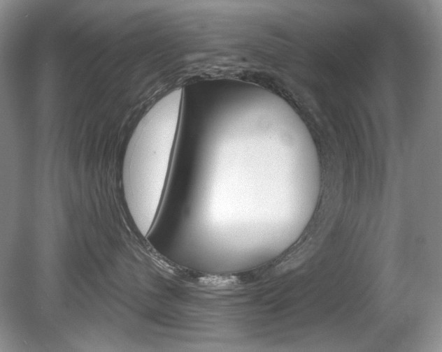 X0000080180480200612081139