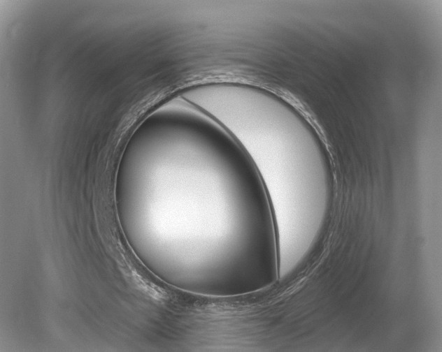 X0000080180481200612081138