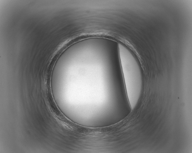 X0000080180483200612081138