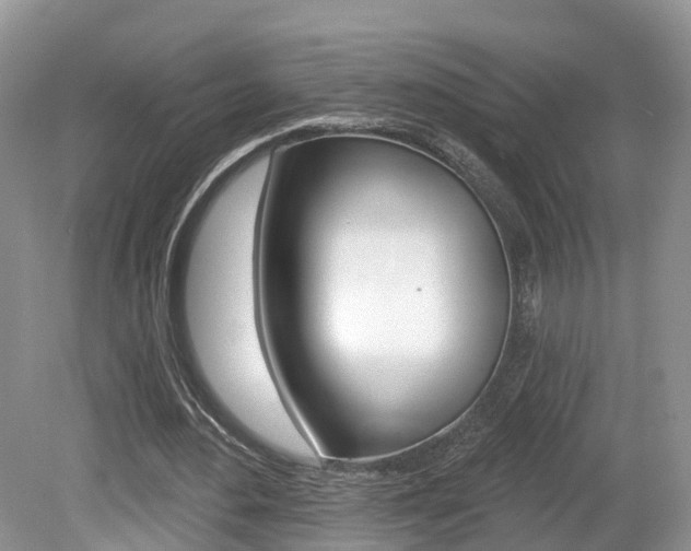 X0000080180484200612081138