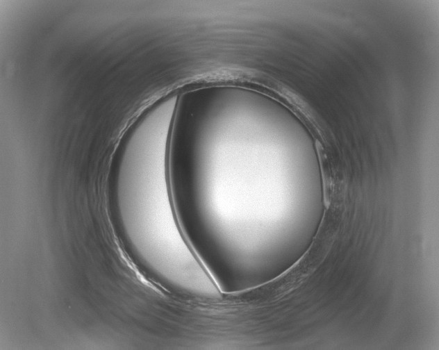 X0000080180485200612081138