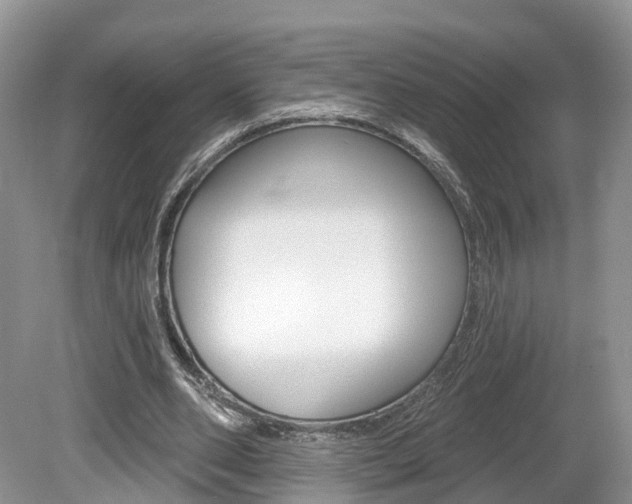 X0000080180486200612081138