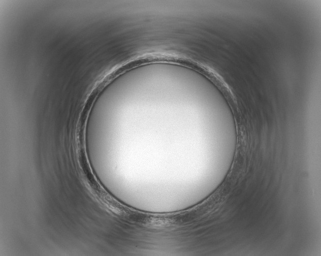 X0000080180487200612081138