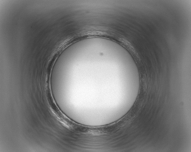 X0000080180490200612081138