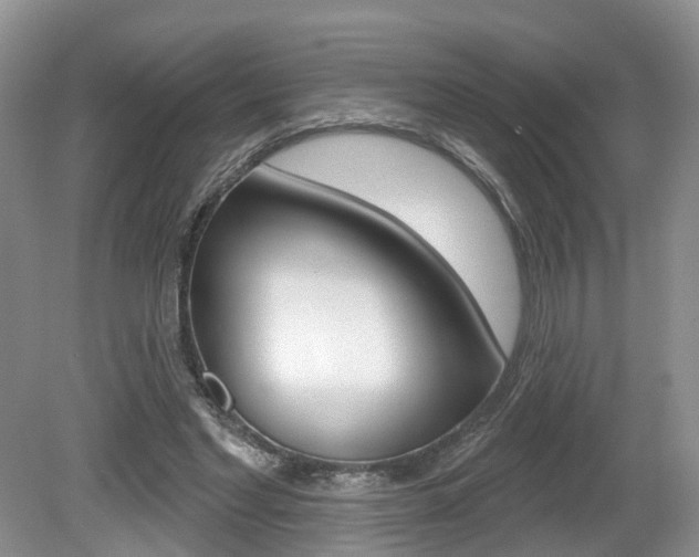 X0000080180493200612081138