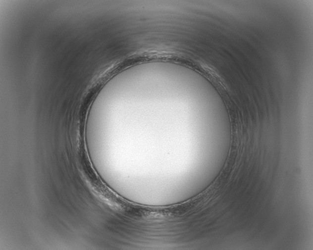 X0000080180494200612081138