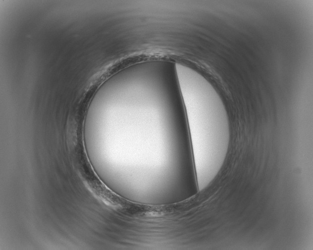 X0000080180496200612081137