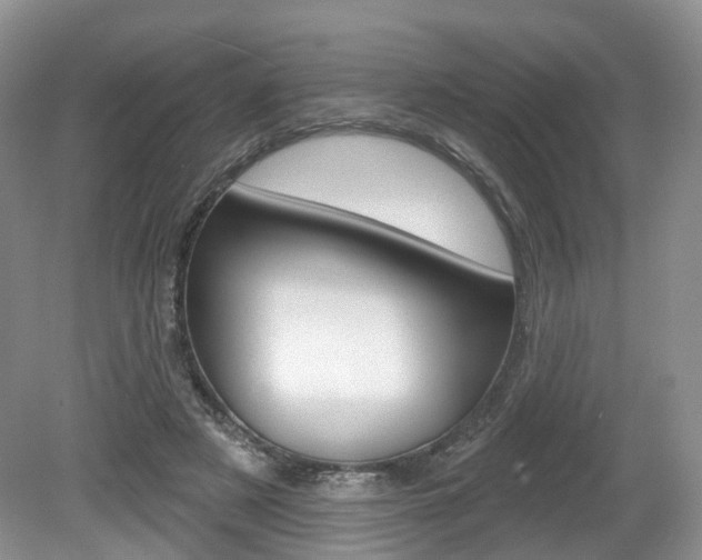 X0000080180497200612081137