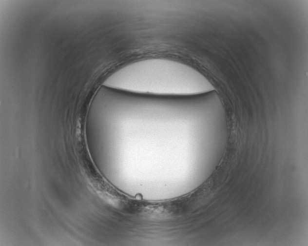 X0000080180502200612081137