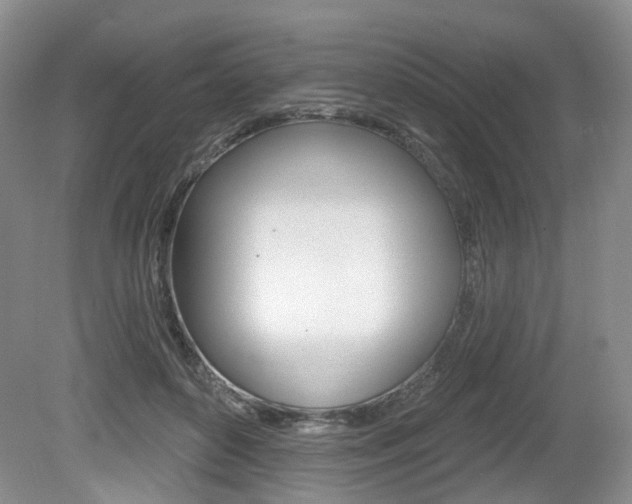 X0000080180504200612081137