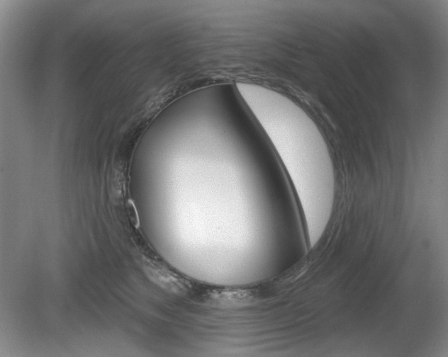 X0000080180517200612081137