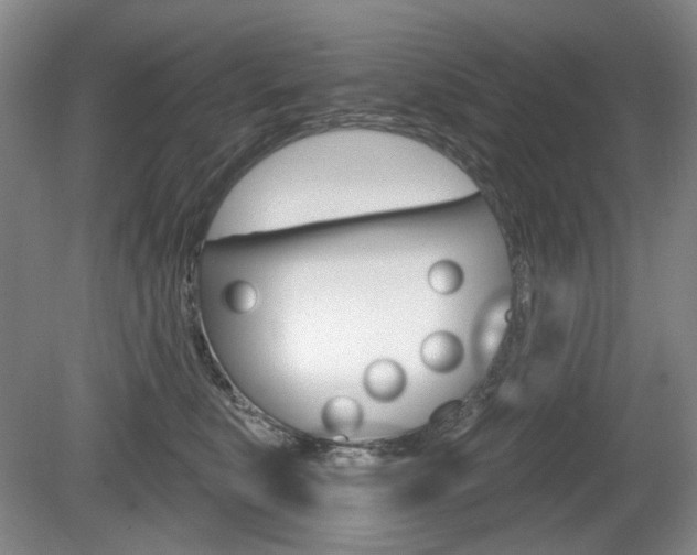 X0000080180519200612081137