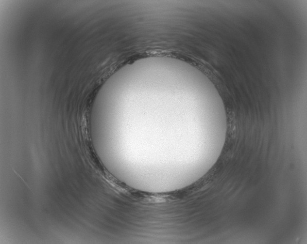 X0000080180523200612081137
