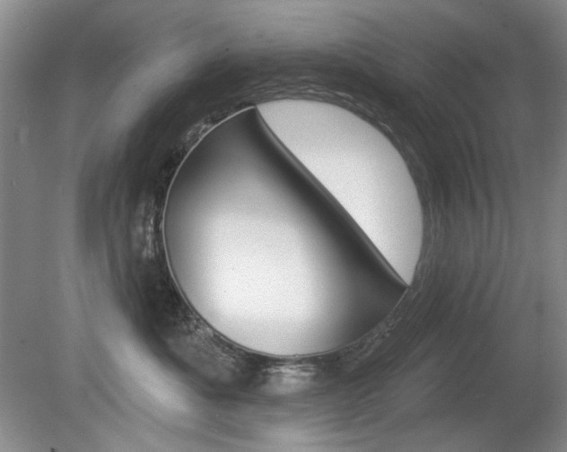 X0000080180525200612081137