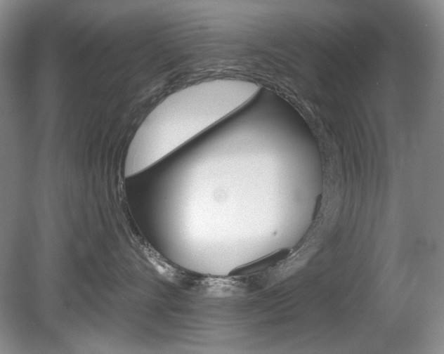 X0000080180528200612081137
