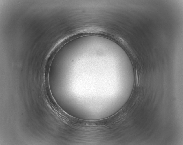 X0000080180531200612081136