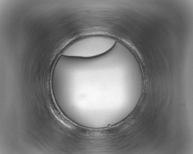 X0000080180533200612081136