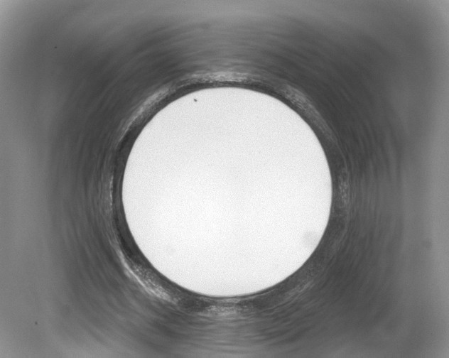 X0000080180534200612081136