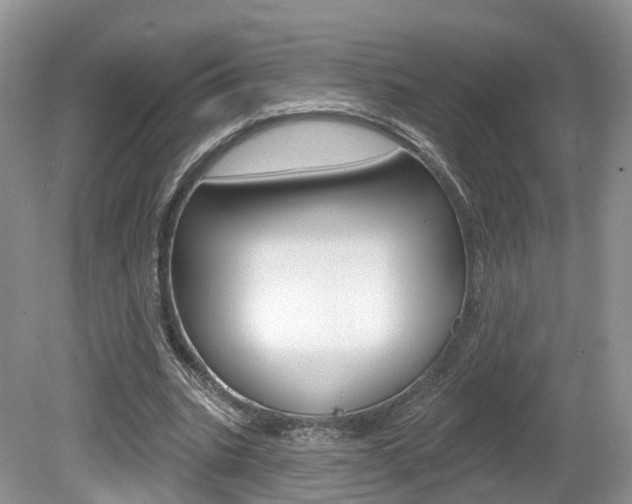 X0000080180535200612081136