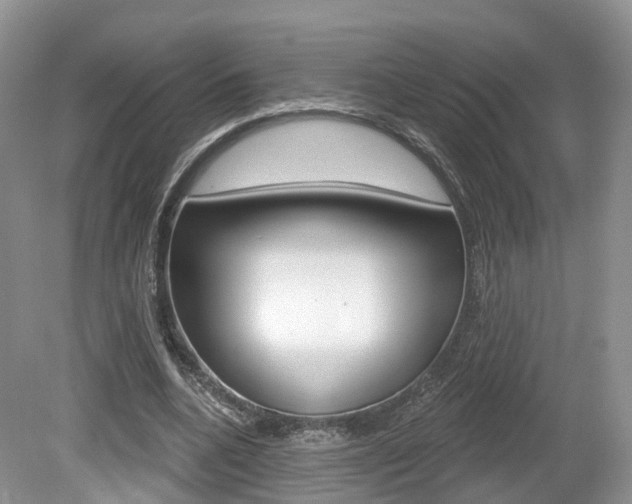 X0000080180536200612081136