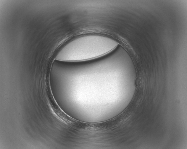 X0000080180538200612081136