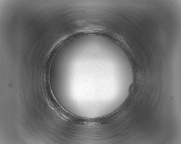 X0000080180539200612081136