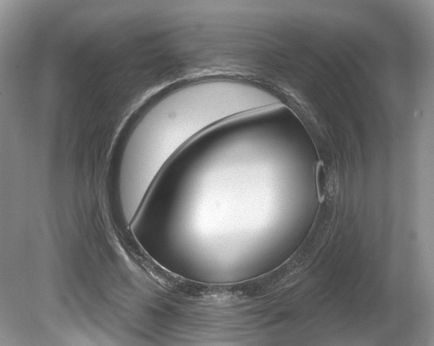 X0000080180540200612081136