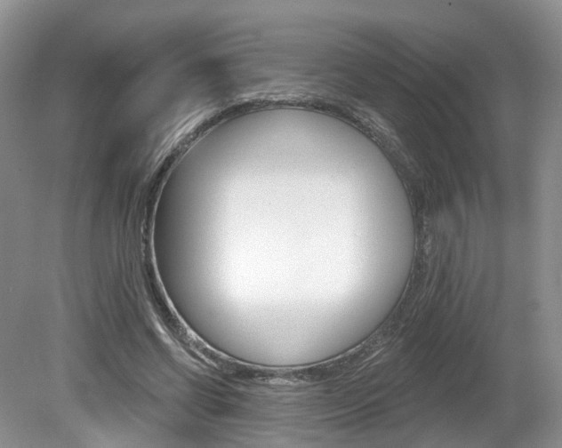 X0000080180542200612081136
