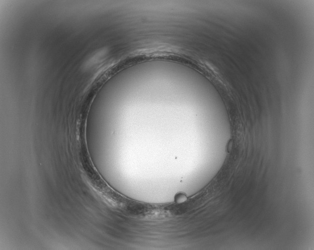 X0000080180543200612081136