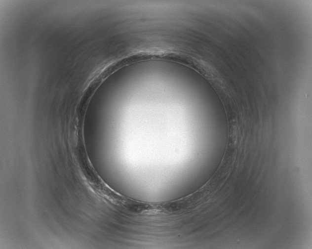 X0000080180544200612081136