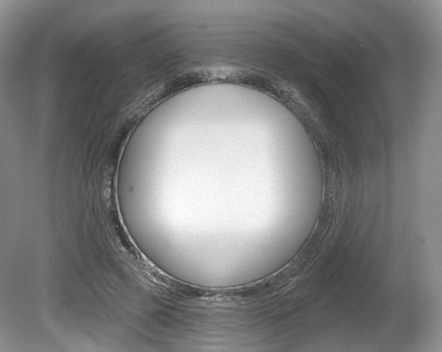 X0000080180545200612081136