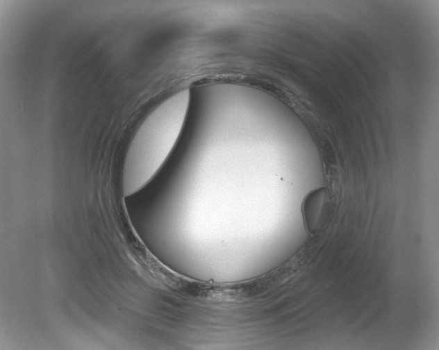 X0000080180550200612081136