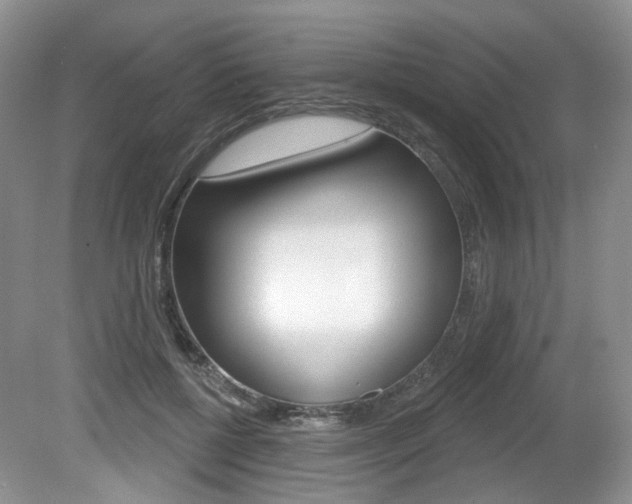 X0000080180552200612081137