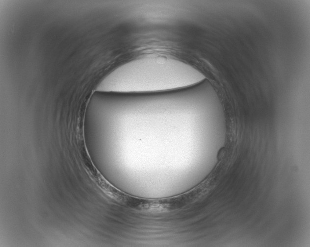 X0000080180553200612081137