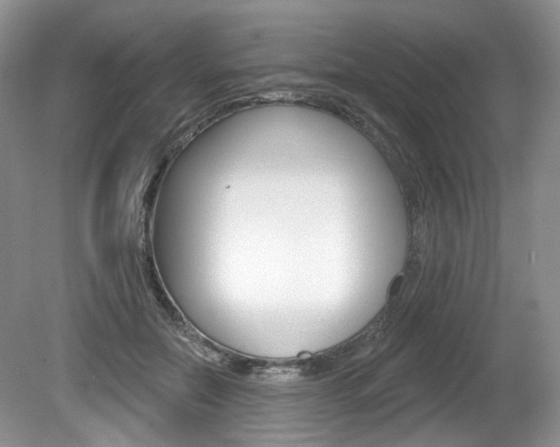 X0000080180554200612081137
