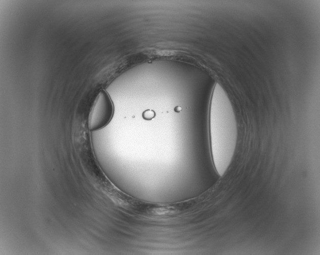 X0000080180555200612081137