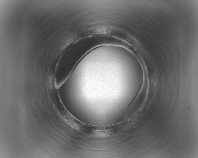 X0000080180556200612081137