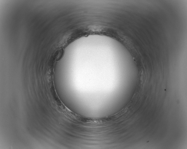 X0000080180559200612081137