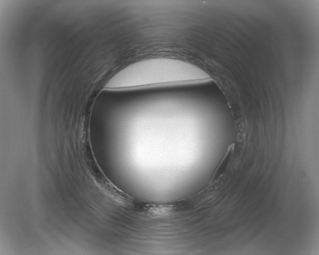 X0000080180560200612081137